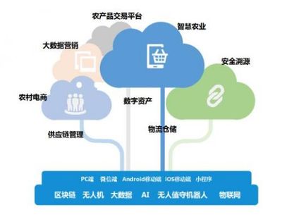 帝隆科技 数字农业赋能供应链管理，助推农业产业高效发展